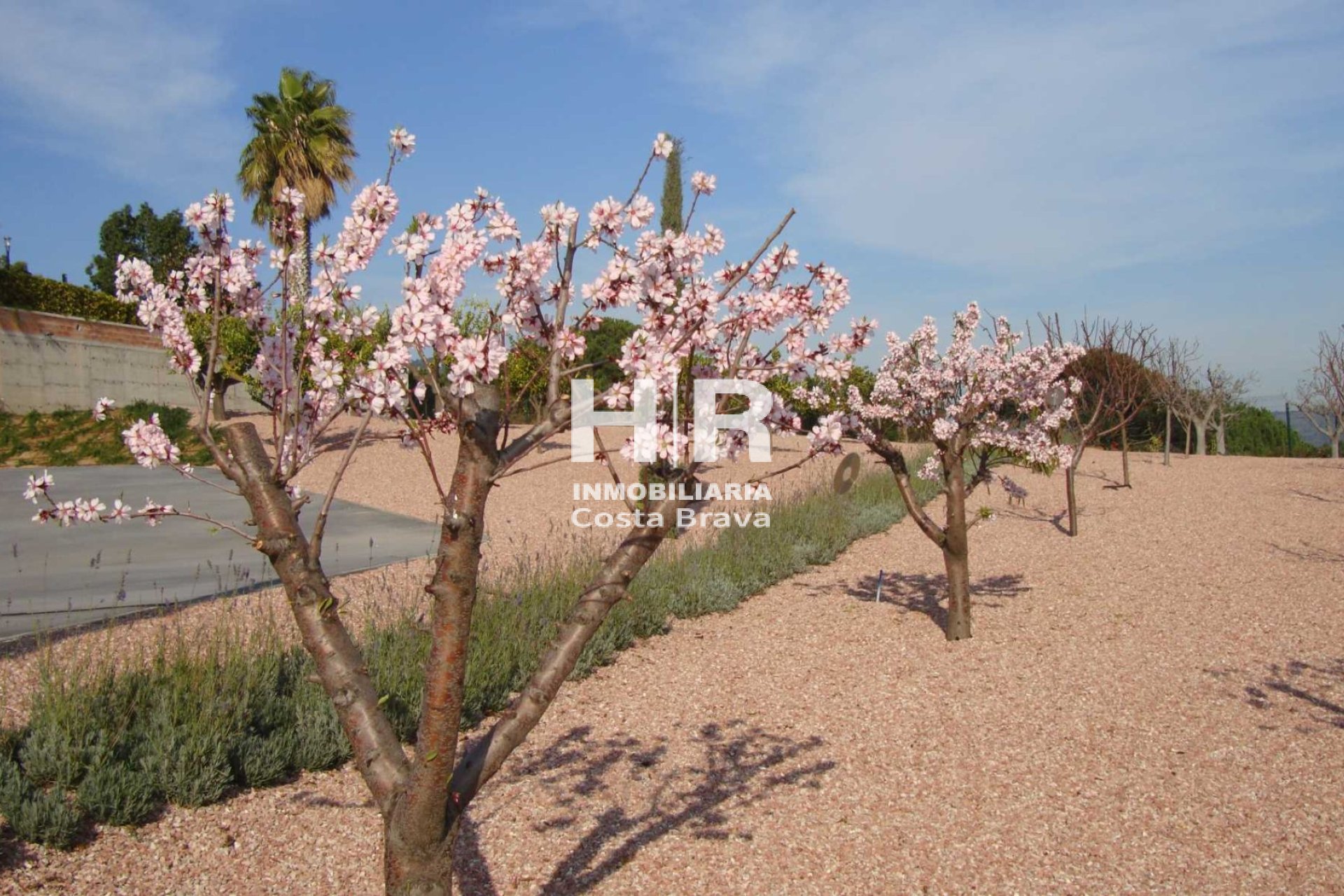 Sale - Chalet - Calella - Valldenguli