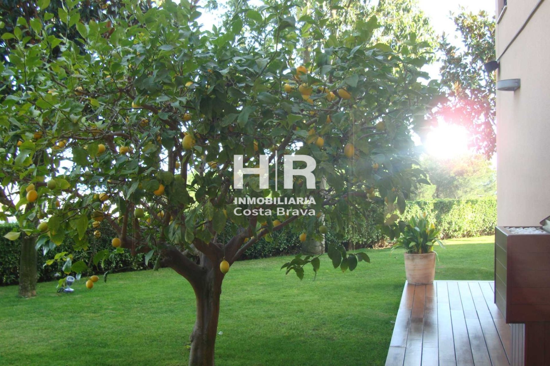 Vente - Chalet - Calella - Valldenguli