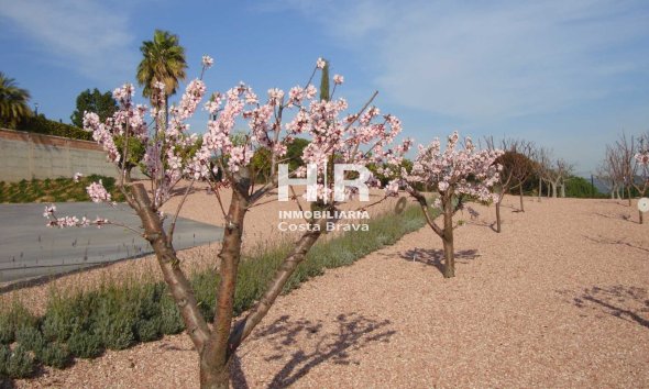 Vente - Chalet - Calella - Valldenguli