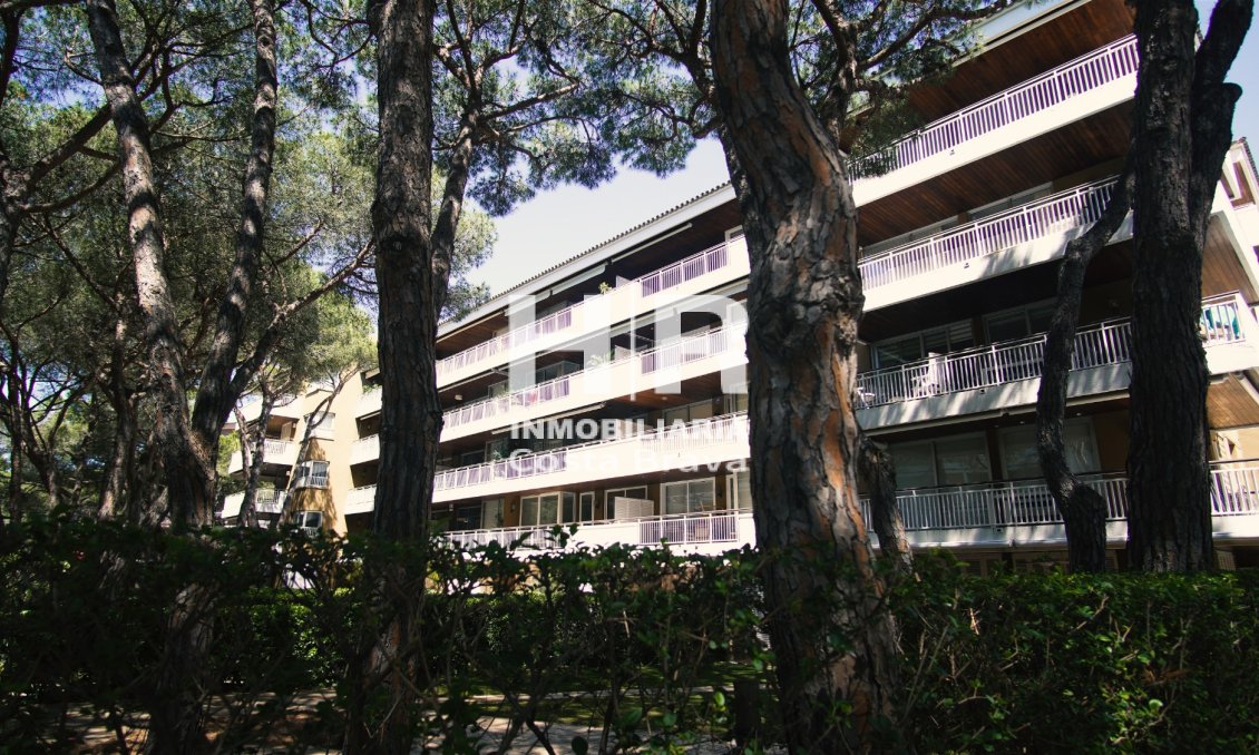 Sale - Apartment / flat - Castell-Platja d'Aro - Centro