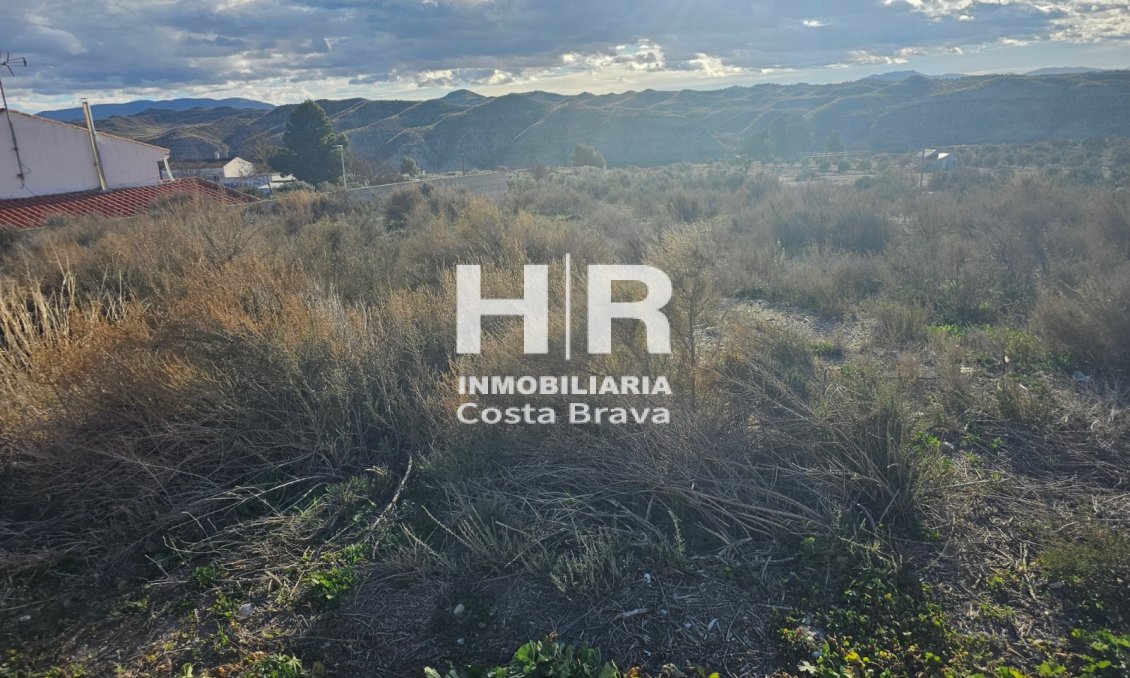 Sale - Cave house - Benamaurel - Puente Arriba
